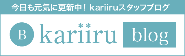 kariiruブログ