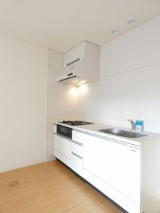 JR川越線徒歩17分　ファミリー入居可　長屋　木造2階建て　中型犬1頭飼育相談可　小型犬1頭飼育相談可　無料インターネット