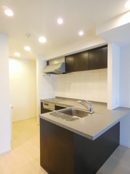レクセルプラザ本川越 分譲マンション 分譲賃貸 キッチン